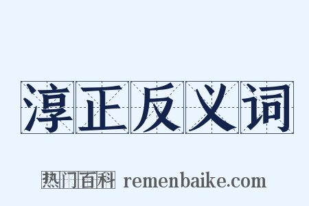 淳正反义词是什么意思的图片
